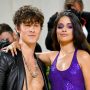 Shawn Mendes Teases New Music, Ex Camila Cabello Comments “Ur crazy wildcat.”