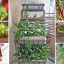Rooftop gardening picks up pace in Rawalpindi