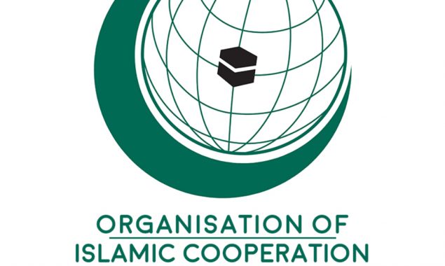 Iranian envoys return to OIC posts