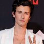 Shawn Mendes new song ‘It’ll Be Okay’ touches the fans heart