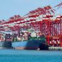 East China province sees robust trade with B&R countries