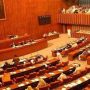 Senate panel terms Finance Supplementary Bill tsunami of inflation