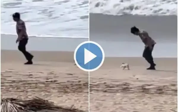 Man Plays With Little Dog on The Beach, Video Will Fill You Heart With Joy | Viral Video