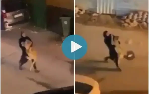 Girl Carrying Struggling Lion in her Arms : Video Goes Viral