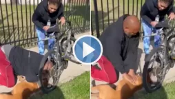 WATCH VIDEO | Man Performs CPR on Dog and Saves His Life, Netizens Love It  
