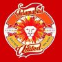 PSL 2022: Islamabad United PSL 7 Schedule