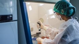 Australian researchers