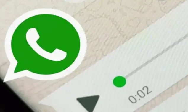 Whatsapp voice notes