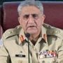 Gen Bajwa, EU envoy discuss region situation