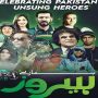 Pakistan cricket fans to nominate Hamaray Heroes during HBL PSL 7