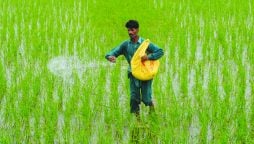 Fertiliser Policy 2022 will enable movement towards WACOG