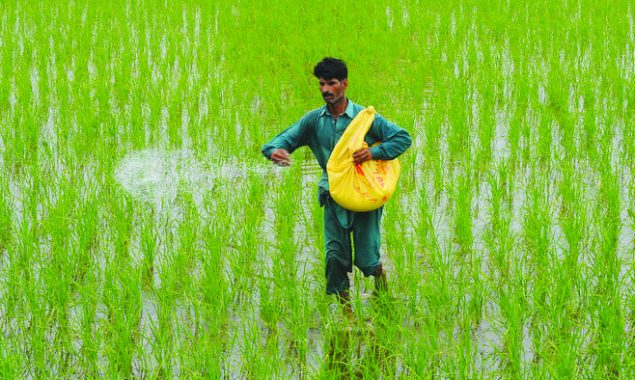 Fertiliser Policy 2022 will enable movement towards WACOG