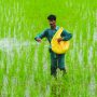 Fertiliser Policy 2022 will enable movement towards WACOG