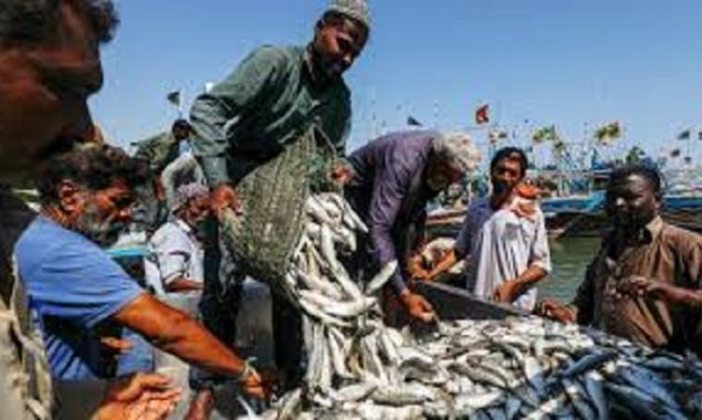 Balochistan’s sea areas to be divided into seven zones to stop illegal trawlers