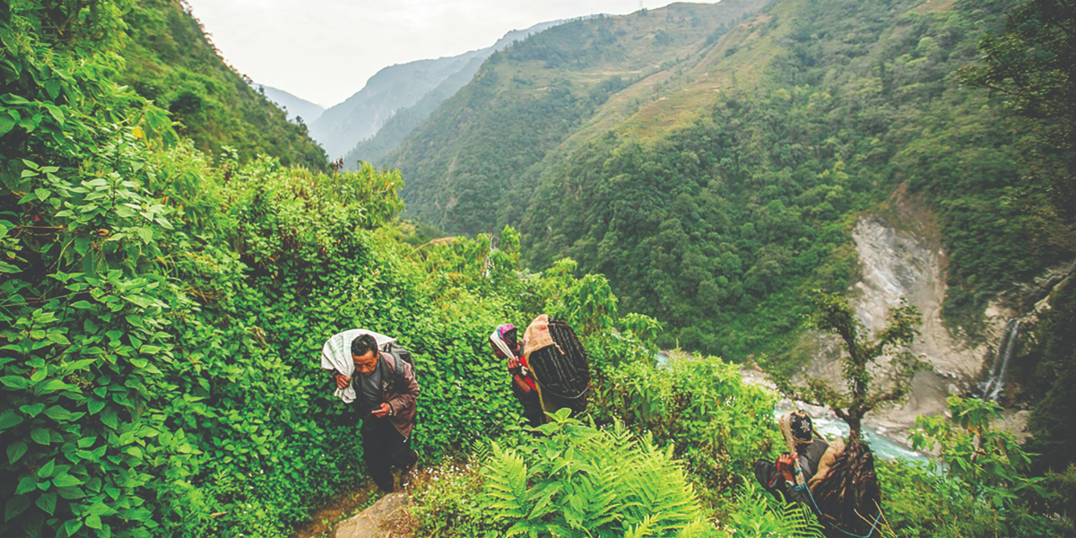 nepal