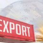 Exports of services rise by 22.94% in 5 months