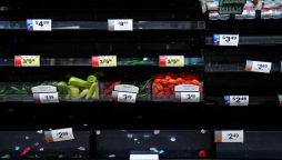 grocery