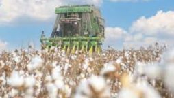 Interview: U.S. ban on Xinjiang cotton to further disturb global supply chain, says expert