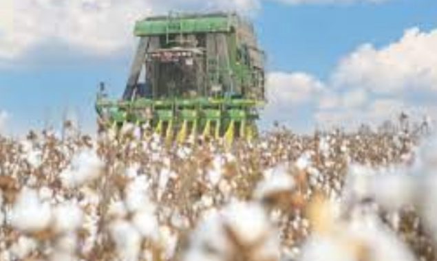 Interview: U.S. ban on Xinjiang cotton to further disturb global supply chain, says expert