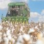 Interview: U.S. ban on Xinjiang cotton to further disturb global supply chain, says expert
