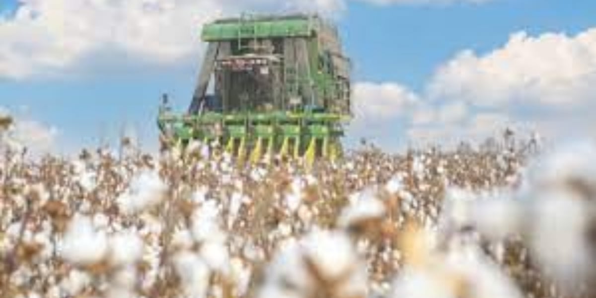 Interview: U.S. ban on Xinjiang cotton to further disturb global supply chain, says expert