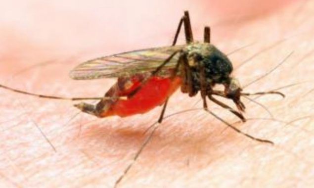 NSFC, Gates Foundation to fund int' l research for malaria eradication