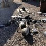2 drones shot down in western Iraq