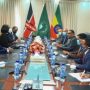 Chinese, Kenyan FMs meet over bilateral ties, cooperation