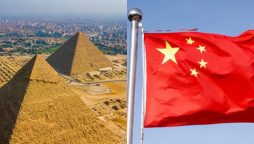 Interview: Egypt seeks to learn from China’s “unique” development experience: official