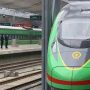 China’s Hunan launches China-Laos int’ l freight train service