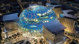 World Insights: Chinese elements amaze visitors at Expo 2020 Dubai