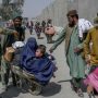 Dutch evacuates 294 Afghans through Pakistan: ministry
