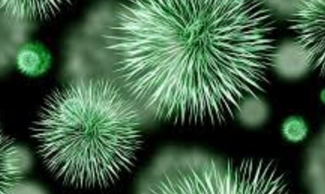 Australian researchers find a new approach to break bacterial antibiotic resistance