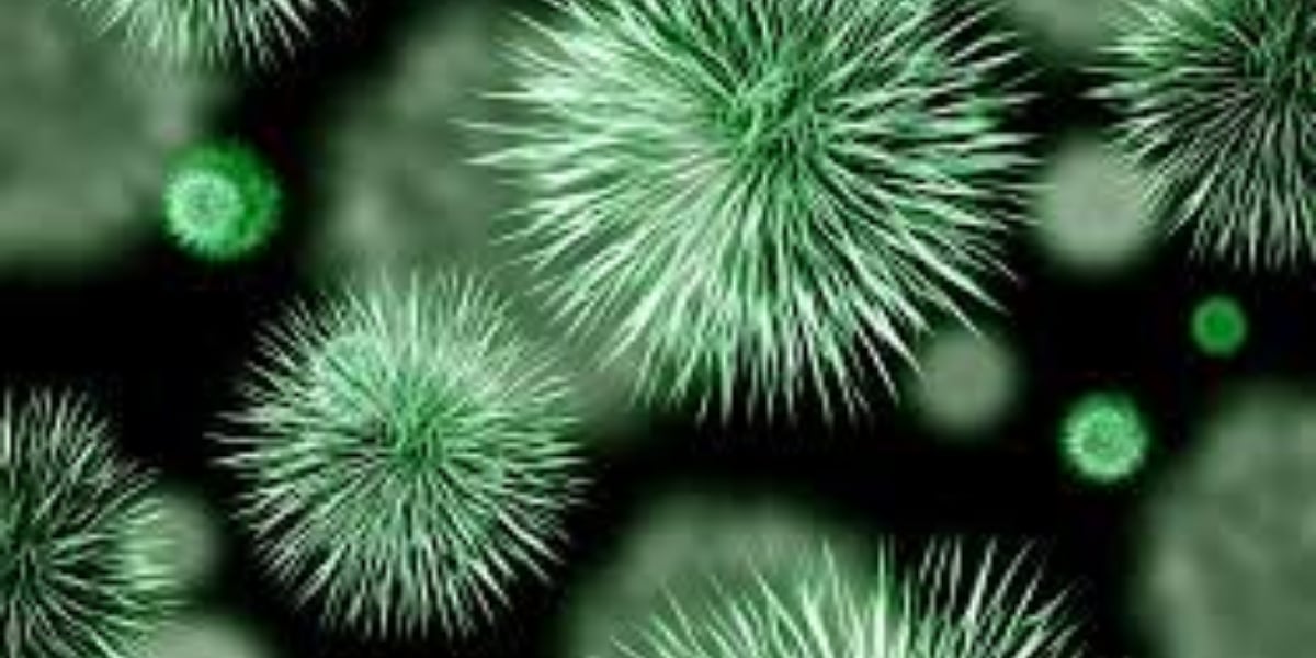 Australian researchers find a new approach to break bacterial antibiotic resistance