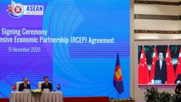 The Chinese premier, Vietnamese PM hold a phone call on bilateral ties, RCEP