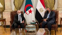 Egyptian, Algerian presidents discuss bilateral ties, regional developments