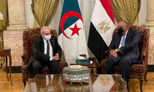 Egyptian, Algerian presidents discuss bilateral ties, regional developments