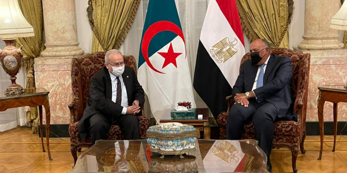 Egyptian, Algerian presidents discuss bilateral ties, regional developments