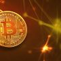 Crypto boom and financial stability