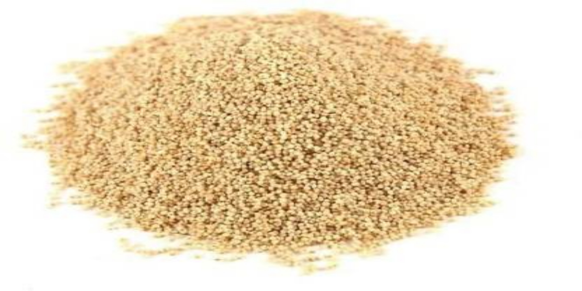 khashkhash