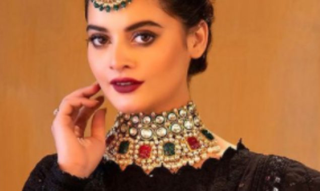 Minal Khan turns into a black beauty in a festive outfit