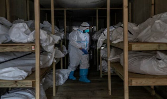 COVID-19 death number in U.S. likely undercounted: expert