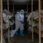 COVID-19 death number in U.S. likely undercounted: expert