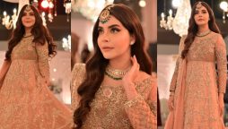 Nida Yasir looks magnificent in glamorous peach attire 