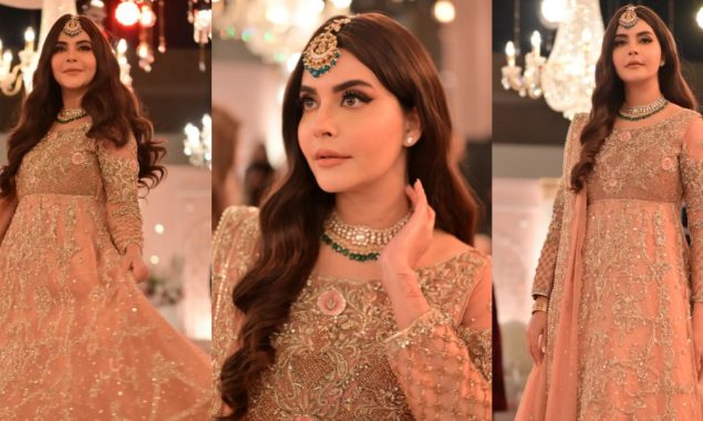 Nida Yasir looks magnificent in glamorous peach attire 