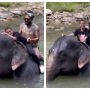 Iqra Aziz and Yasir Hussain Riding an Elephant – WATCH VIDEO