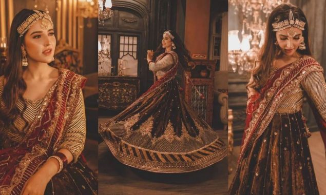 Hareem Farooq is dripping finesse in this regal lehenga