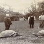 Watch: At the age of 190 years, Jonathan became the world’s oldest tortoise