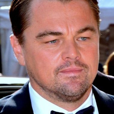 Leonardo DiCaprio couldn’t get the painting he so dearly wanted