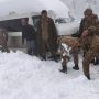 Army starts evacuating tourists stranded in Murree
